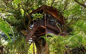 Hotel Heliconias Nature Inn & Hot Springs